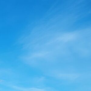 Meet your Posher, Nora